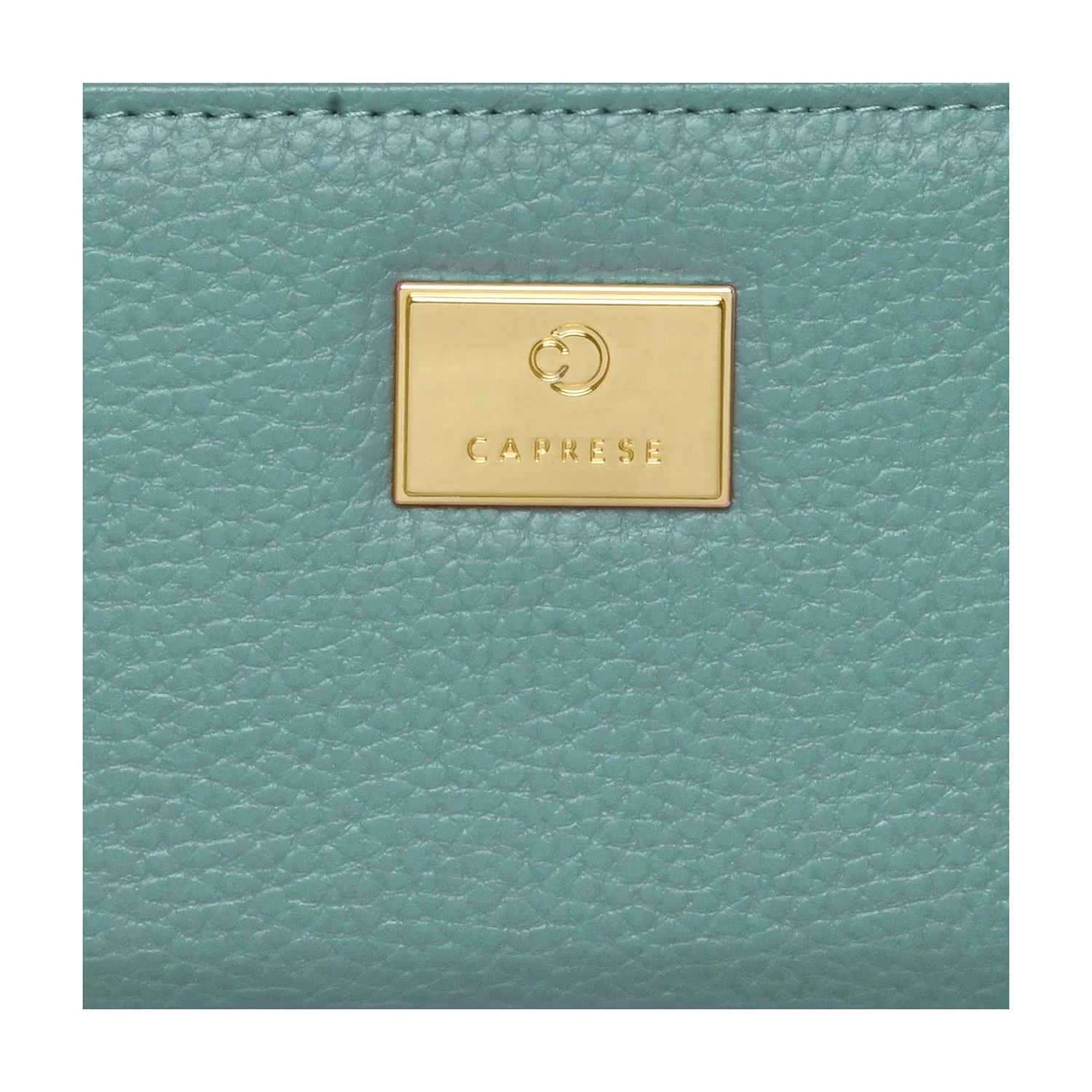 Caprese Kristin Zip Around Wallet Alue