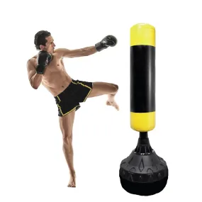 Desire Gym Standing Punching Bag