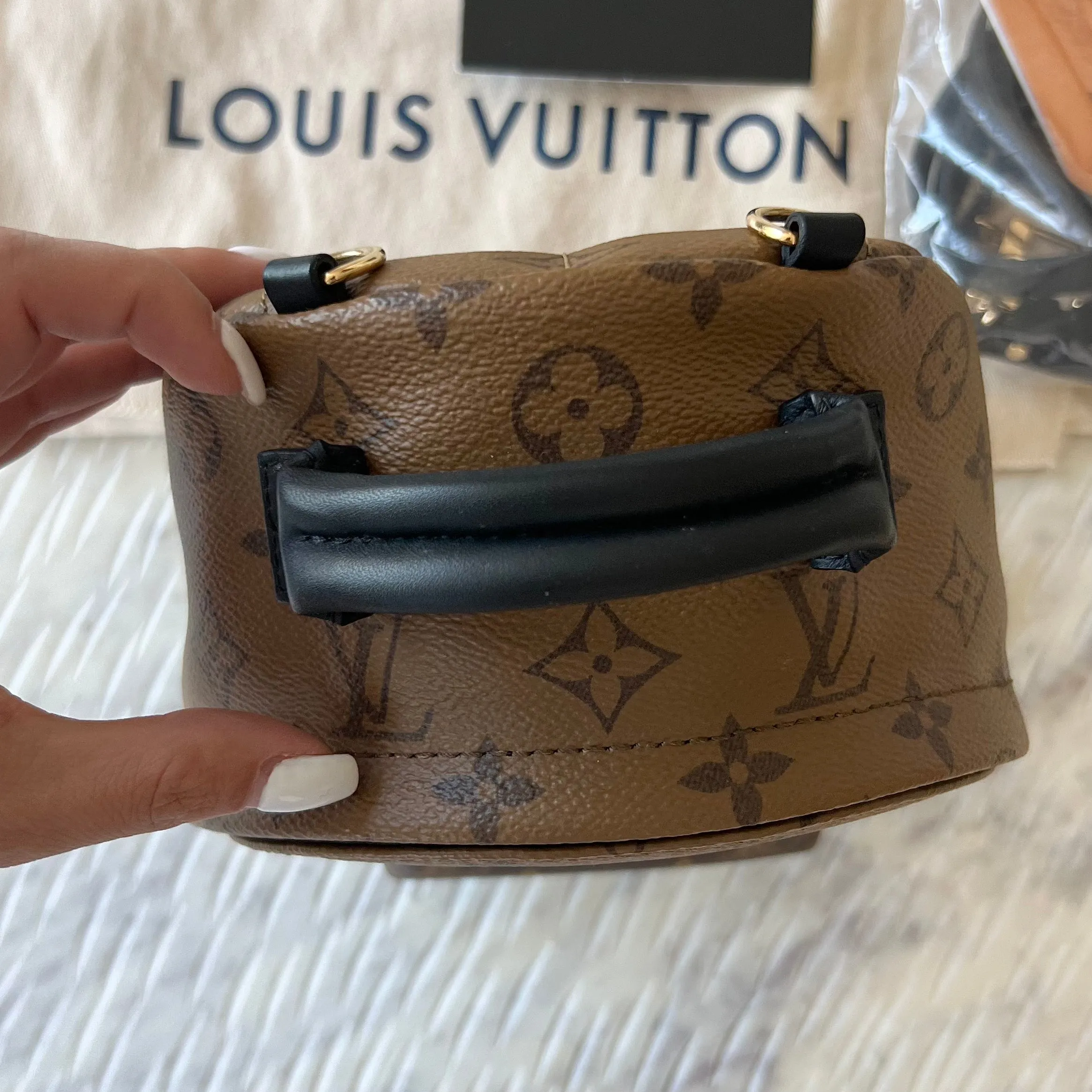 Louis Vuitton Reverse Monogram Palm Springs Mini Backpack