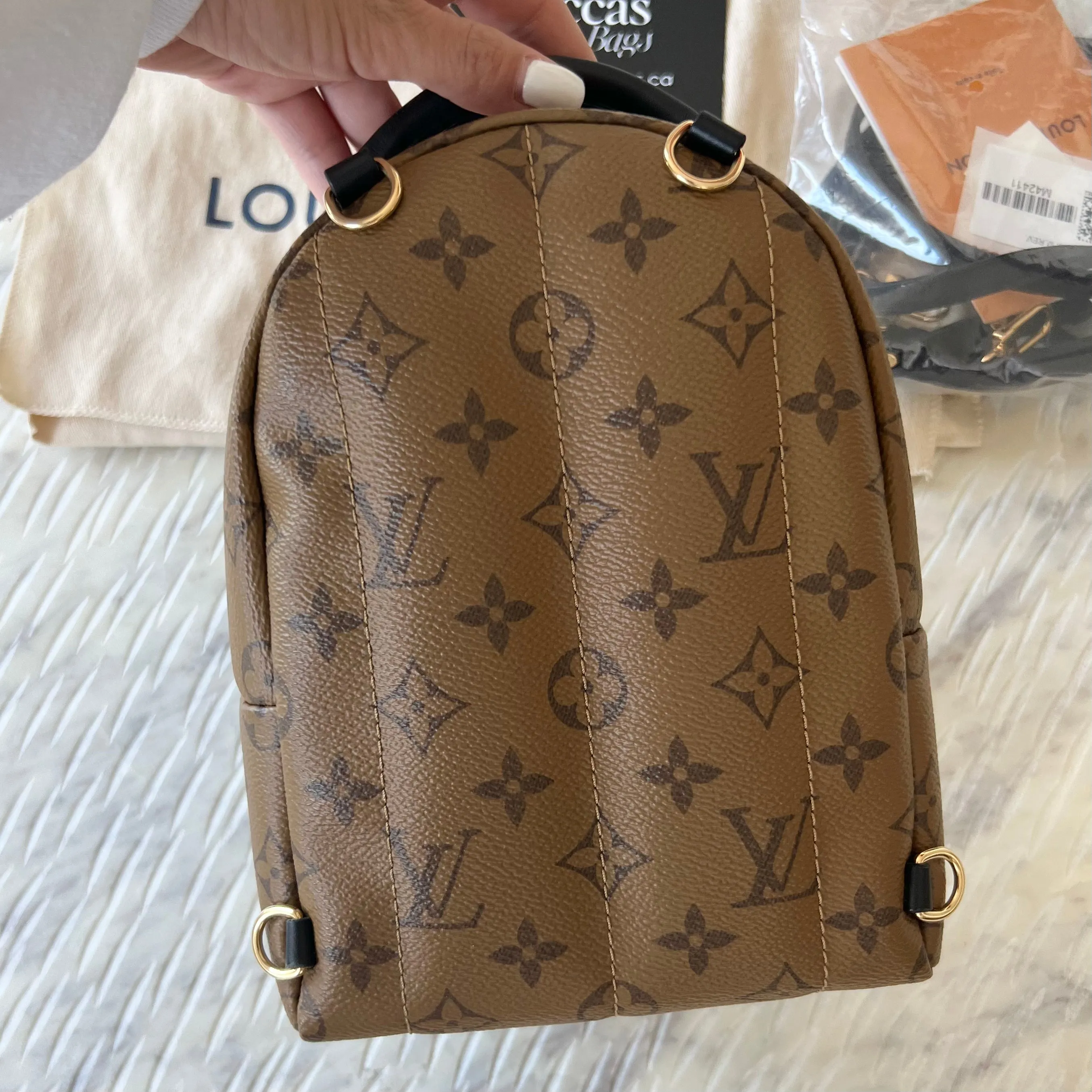 Louis Vuitton Reverse Monogram Palm Springs Mini Backpack